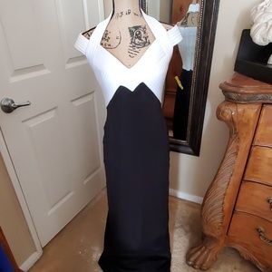 Holiday, Cruise Full length formal Tadashi dress.